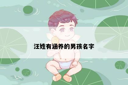 汪姓有涵养的男孩名字