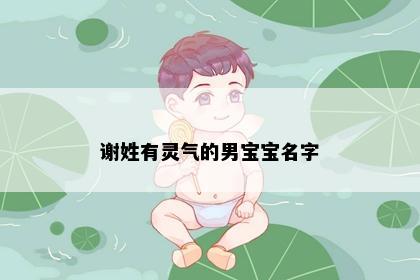 谢姓有灵气的男宝宝名字